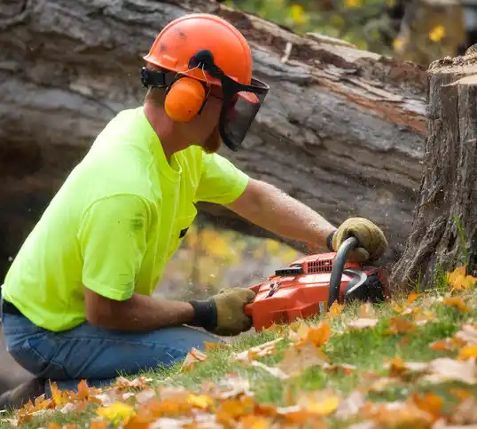 tree services Noxapater